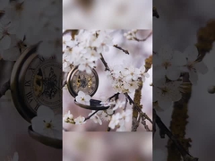 Lily Rose Osmanthus Teeth Whitening Toothpaste in 400g White Paper Packaging