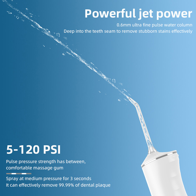 IPX7 Home And Travel Dental Plaque Remover Dental Care Irrigator Professional Water Flosser